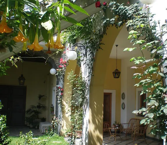 La Baronessa