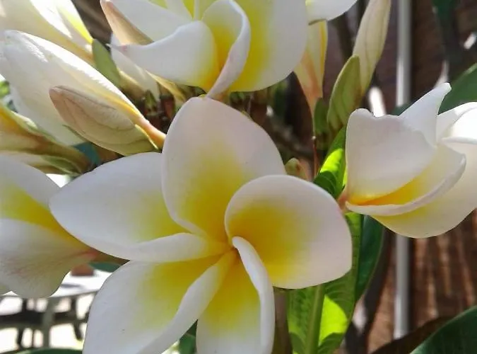 La Baronessa 住宿加早餐酒店