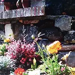 La Baronessa Riposto