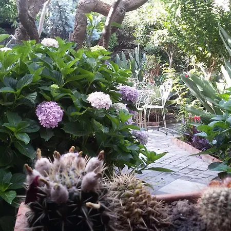 La Baronessa B&B Frühstückspension Riposto
