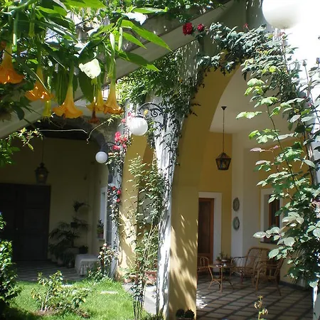 La Baronessa