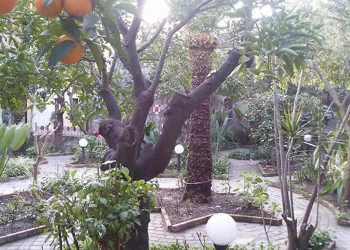 La Baronessa Couette-café